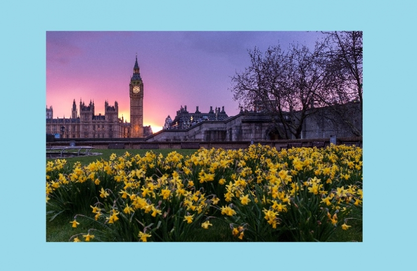 The Houses of Parliament with a garden in front